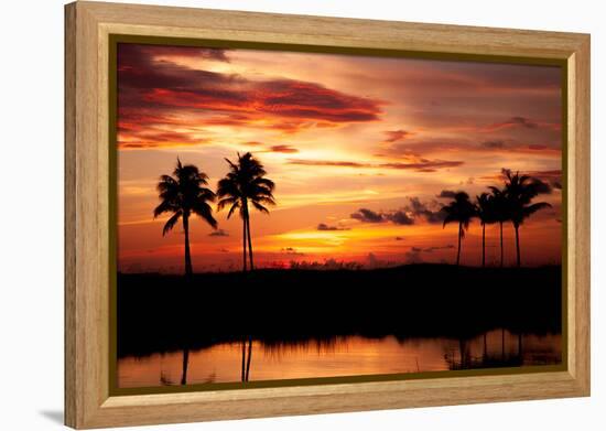 Tropical Sunset with Palm Trees-Paul Brady-Framed Premier Image Canvas