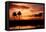 Tropical Sunset with Palm Trees-Paul Brady-Framed Premier Image Canvas