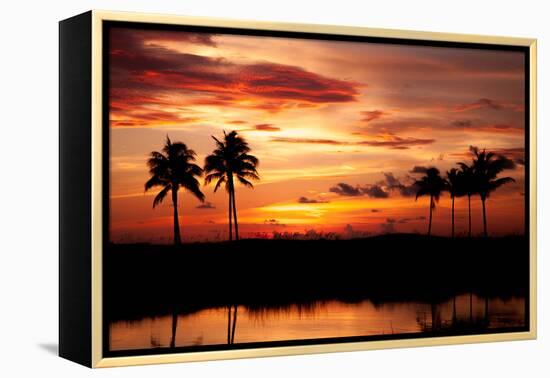 Tropical Sunset with Palm Trees-Paul Brady-Framed Premier Image Canvas