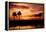 Tropical Sunset with Palm Trees-Paul Brady-Framed Premier Image Canvas