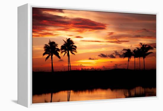 Tropical Sunset with Palm Trees-Paul Brady-Framed Premier Image Canvas