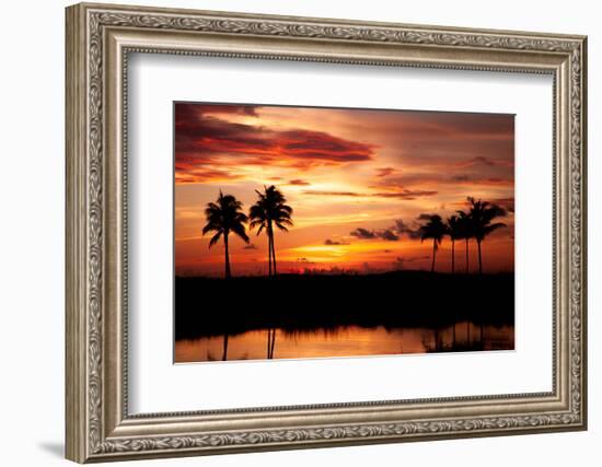 Tropical Sunset with Palm Trees-Paul Brady-Framed Photographic Print