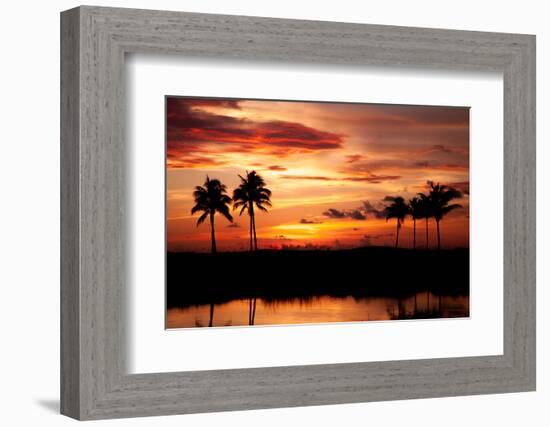 Tropical Sunset with Palm Trees-Paul Brady-Framed Photographic Print