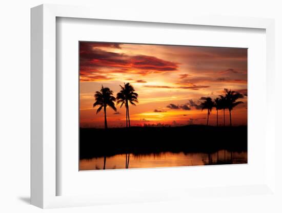 Tropical Sunset with Palm Trees-Paul Brady-Framed Photographic Print