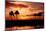 Tropical Sunset with Palm Trees-Paul Brady-Mounted Photographic Print