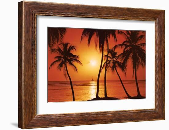 Tropical Sunset-null-Framed Art Print