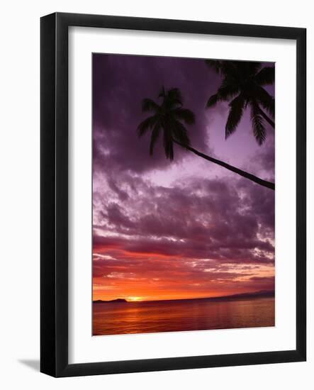 Tropical Sunset-Michele Westmorland-Framed Photographic Print