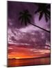 Tropical Sunset-Michele Westmorland-Mounted Photographic Print