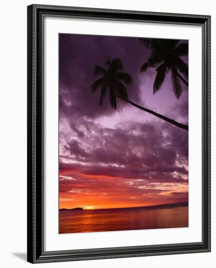 Tropical Sunset-Michele Westmorland-Framed Photographic Print