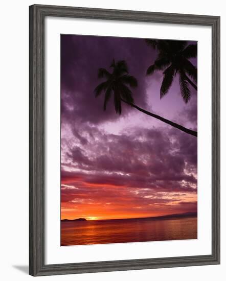 Tropical Sunset-Michele Westmorland-Framed Photographic Print