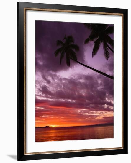 Tropical Sunset-Michele Westmorland-Framed Photographic Print