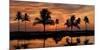 Tropical Sunsets II-Mike Jones-Mounted Art Print