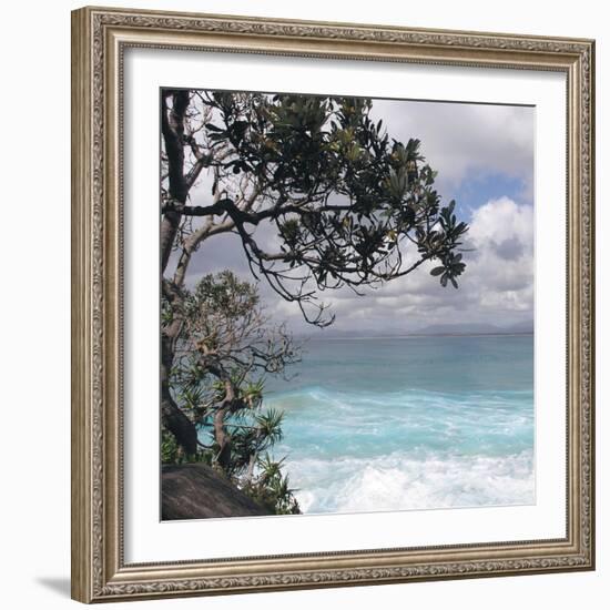 Tropical Surf-Mark Goodall-Framed Art Print