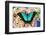 Tropical Swallowtail Butterfly, Papilio larquinianus on pink Gerber Daisies-Darrell Gulin-Framed Photographic Print