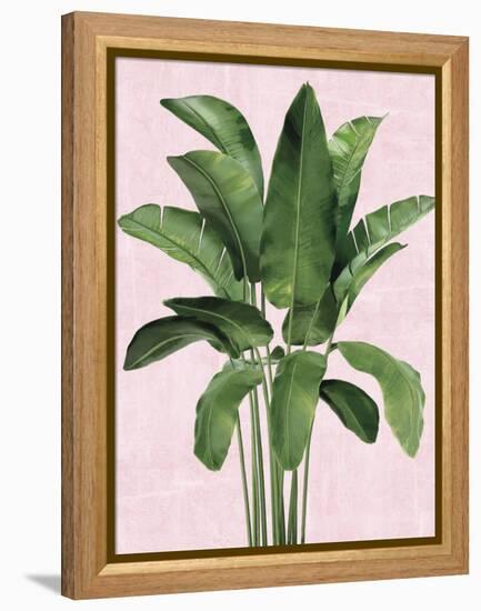 Tropical Symphony-Tania Bello-Framed Stretched Canvas