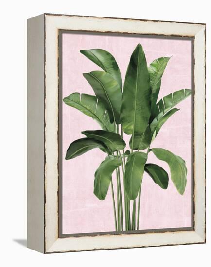 Tropical Symphony-Tania Bello-Framed Stretched Canvas