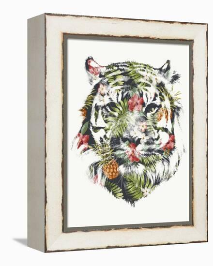 Tropical Tiger-Robert Farkas-Framed Premier Image Canvas