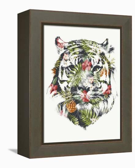 Tropical Tiger-Robert Farkas-Framed Premier Image Canvas