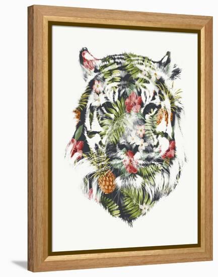 Tropical Tiger-Robert Farkas-Framed Premier Image Canvas