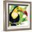 Tropical Toucan-Mary Escobedo-Framed Art Print