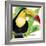 Tropical Toucan-Mary Escobedo-Framed Art Print