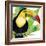 Tropical Toucan-Mary Escobedo-Framed Art Print