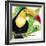 Tropical Toucan-Mary Escobedo-Framed Art Print