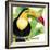 Tropical Toucan-Mary Escobedo-Framed Art Print