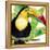 Tropical Toucan-Mary Escobedo-Framed Stretched Canvas