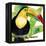 Tropical Toucan-Mary Escobedo-Framed Stretched Canvas