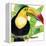 Tropical Toucan-Mary Escobedo-Framed Stretched Canvas