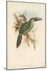 Tropical Toucans I-John Gould-Mounted Art Print