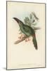 Tropical Toucans II-John Gould-Mounted Art Print