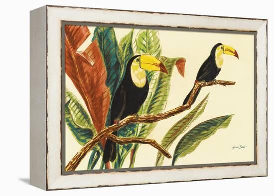 Tropical Toucans II-Linda Baliko-Framed Stretched Canvas