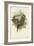 Tropical Toucans VI-John Gould-Framed Art Print
