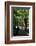 Tropical Trees on Fraser Island, UNESCO World Heritage Site, Queensland, Australia, Pacific-Michael Runkel-Framed Photographic Print