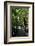 Tropical Trees on Fraser Island, UNESCO World Heritage Site, Queensland, Australia, Pacific-Michael Runkel-Framed Photographic Print