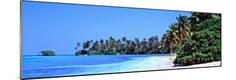 Premium Photographic Print