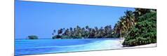 Premium Photographic Print
