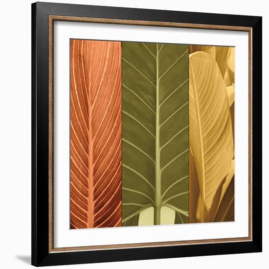 Tropical Trio I-John Seba-Framed Art Print