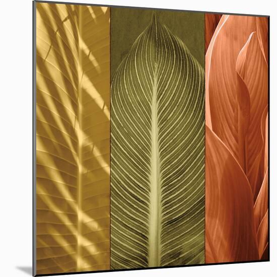 Tropical Trio II-John Seba-Mounted Art Print