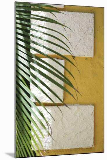 Tropical Type E - Palm-Mike Toy-Mounted Giclee Print