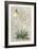 Tropical Varieties I-Pancrace Bessa-Framed Art Print