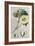 Tropical Varieties II-Pancrace Bessa-Framed Art Print