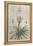 Tropical Varieties III-Pancrace Bessa-Framed Stretched Canvas