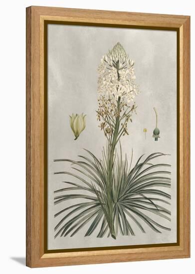 Tropical Varieties III-Pancrace Bessa-Framed Stretched Canvas