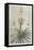Tropical Varieties III-Pancrace Bessa-Framed Stretched Canvas