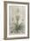 Tropical Varieties III-Pancrace Bessa-Framed Art Print