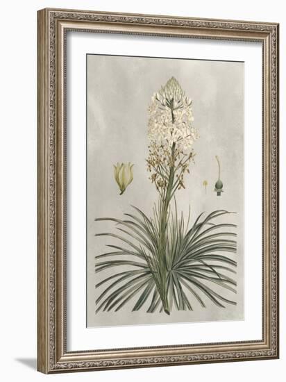 Tropical Varieties III-Pancrace Bessa-Framed Art Print