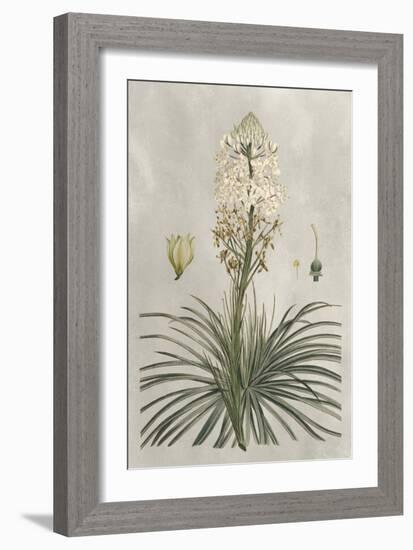Tropical Varieties III-Pancrace Bessa-Framed Art Print